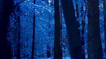 bashert-irene-klepfisz