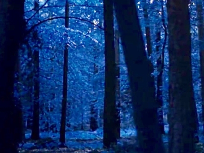 bashert-irene-klepfisz