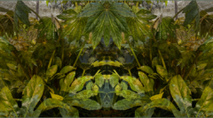 out-of-nature-gabi-von-seltmann