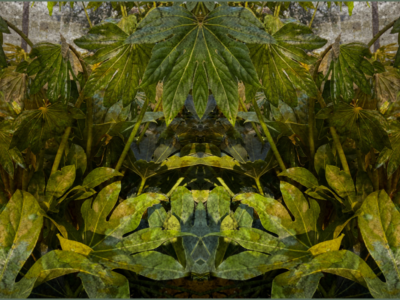 out-of-nature-gabi-von-seltmann