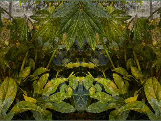 out-of-nature-gabi-von-seltmann