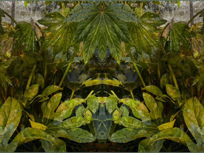 out-of-nature-gabi-von-seltmann